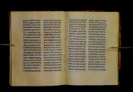 Parma, Palatina 3852