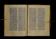 Parma, Palatina 3852