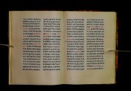 Parma, Palatina 3852