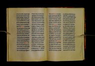 Parma, Palatina 3852