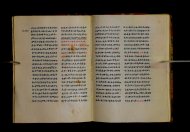 Parma, Palatina 3852