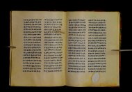 Parma, Palatina 3852