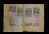 Parma, Palatina 3852