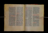 Parma, Palatina 3852