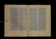 Parma, Palatina 3852