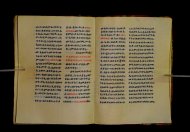 Parma, Palatina 3852