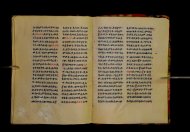 Parma, Palatina 3852