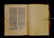 Parma, Palatina 3852
