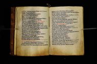 Parma, Palatina 3864