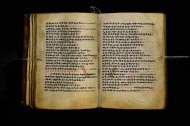 Parma, Palatina 3864