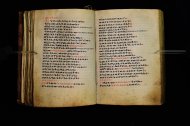 Parma, Palatina 3864
