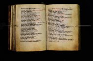 Parma, Palatina 3864