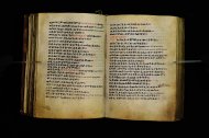 Parma, Palatina 3864