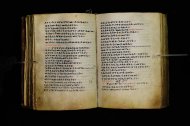 Parma, Palatina 3864