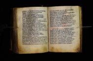 Parma, Palatina 3864