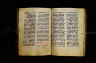 Parma, Palatina 3864