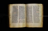 Parma, Palatina 3864
