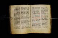 Parma, Palatina 3864