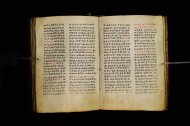 Parma, Palatina 3864