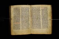 Parma, Palatina 3864