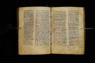 Parma, Palatina 3864