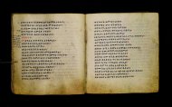 Parma, Palatina 3865