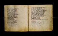 Parma, Palatina 3865