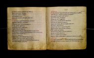 Parma, Palatina 3865