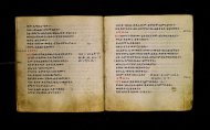 Parma, Palatina 3865