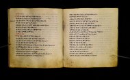 Parma, Palatina 3865