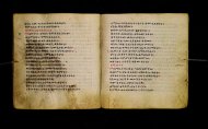 Parma, Palatina 3865
