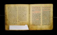 Parma, Palatina 3865