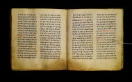 Parma, Palatina 3865