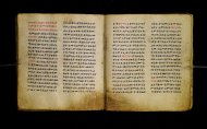 Parma, Palatina 3865