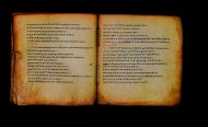 Parma, Palatina 3866