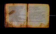 Parma, Palatina 3866