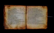 Parma, Palatina 3866