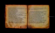 Parma, Palatina 3866