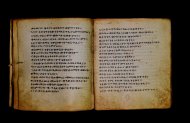 Parma, Palatina 3867