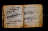 Parma, Palatina 3867
