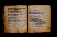 Parma, Palatina 3867