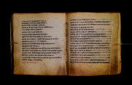 Parma, Palatina 3867