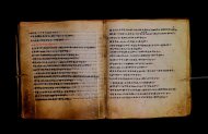 Parma, Palatina 3867