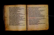 Parma, Palatina 3867