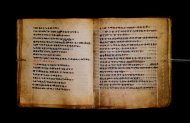 Parma, Palatina 3867