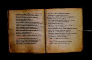 Parma, Palatina 3867