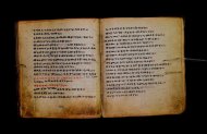 Parma, Palatina 3867