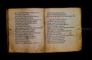 Parma, Palatina 3867