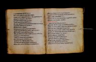 Parma, Palatina 3867