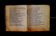 Parma, Palatina 3867